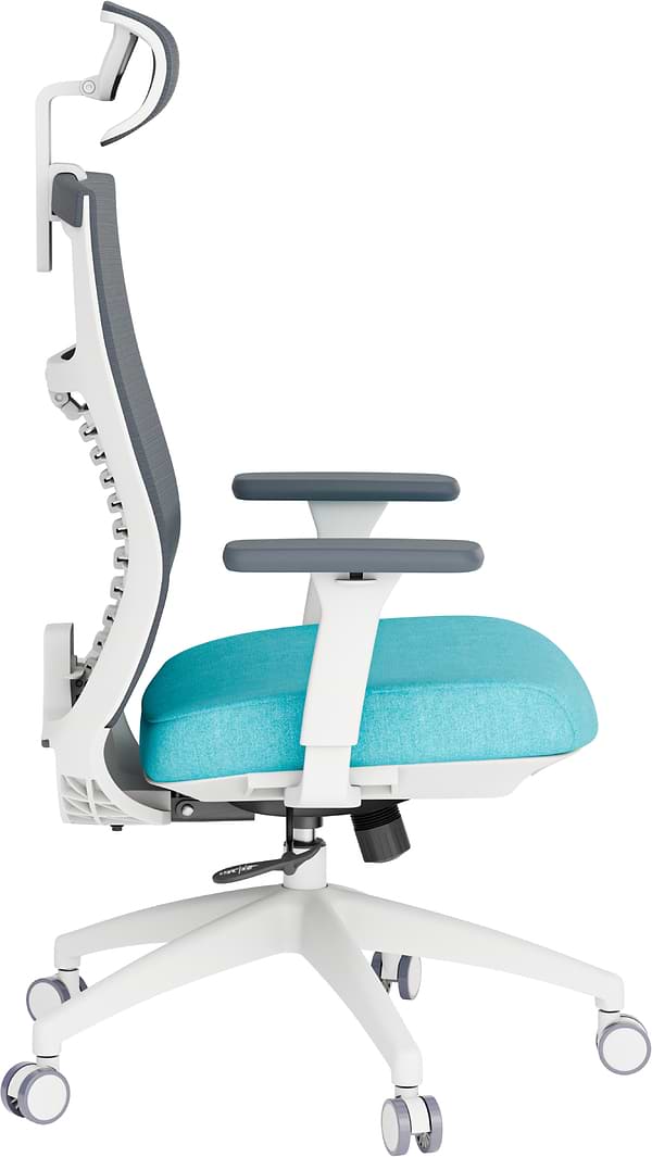 Фото - Крісло офісне OfficePro Balance (OC550-W-DG-BL) White/Dark Gray/Blue
