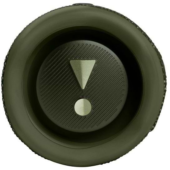 Фото - Портативна акустика JBL Flip 6 Green (JBLFLIP6GREN)