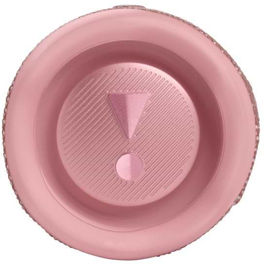 Фото - Портативная акустика JBL Flip 6 Pink (JBLFLIP6PINK)