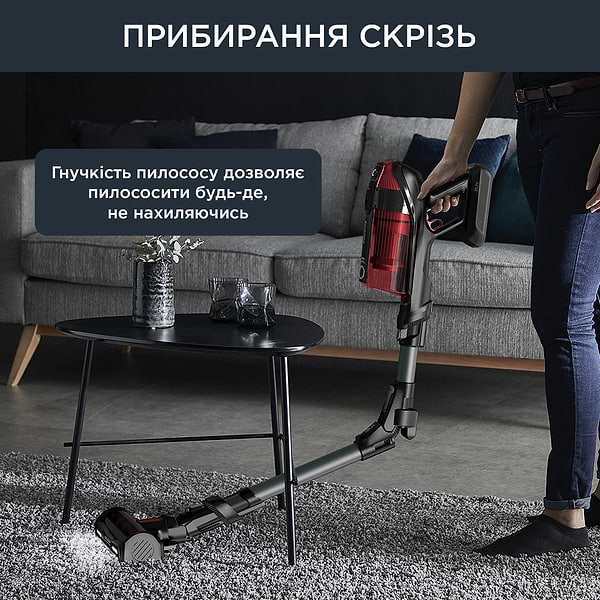 Фото - Пылесос ручной для дома Rowenta RH98A9WO