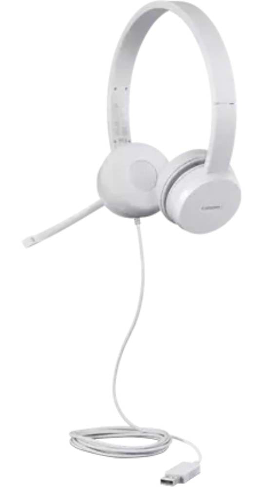Фото - Гарнитура проводная Lenovo 110 Stereo USB Headset (GXD1E71385)