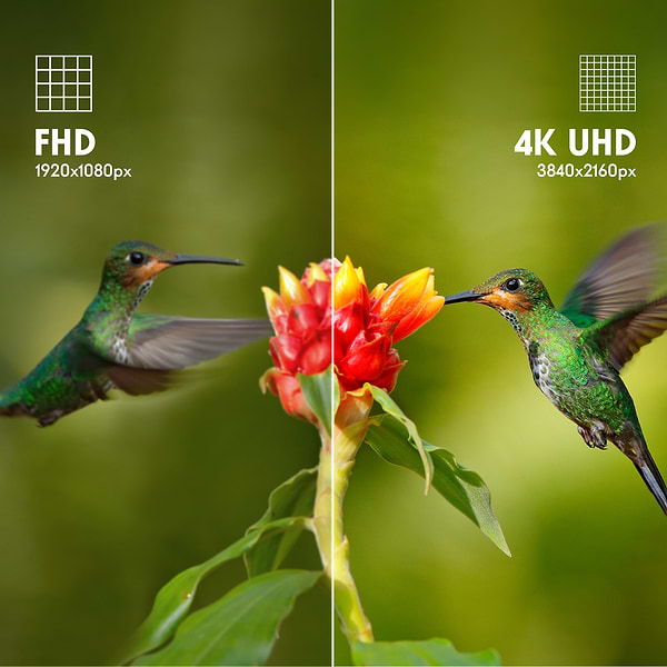 Фото - Телевизор Thomson 43UG4S14