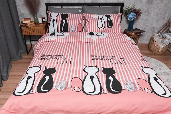 Фото - Комплект постельного белья Moon&Star Бязь Gold Люкс «Cat» 160х220х2 нав. 2х40х60 (MS-820003250)