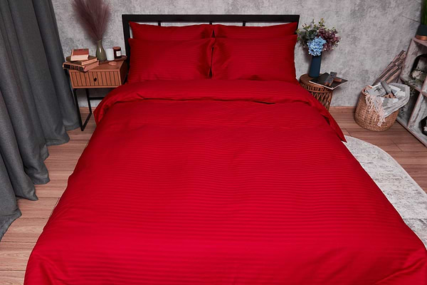 Фото - Комплект постільної білизни Moon&Star Satin Stripe Stripe Red 160х220х2 нав. 4х50х70 (MS-820003603)