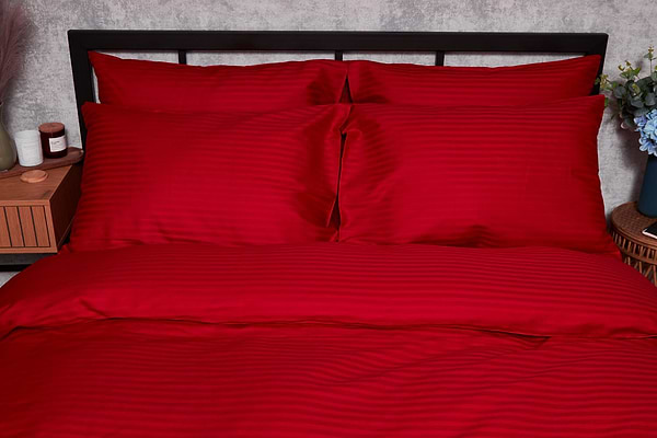 Фото - Комплект постільної білизни Moon&Star Satin Stripe Stripe Red 160х220х2 нав. 4х50х70 (MS-820003603)