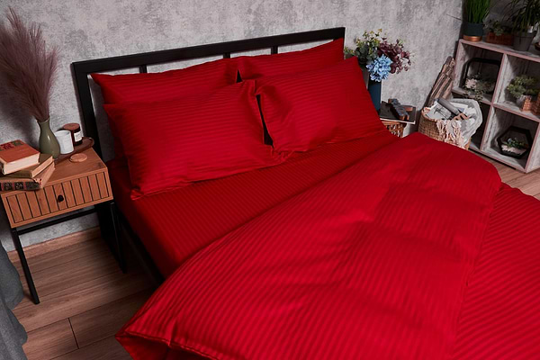 Фото - Комплект постільної білизни Moon&Star Satin Stripe Stripe Red 160х220х2 нав. 4х50х70 (MS-820003603)