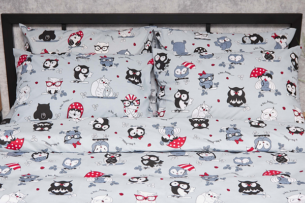 Фото - Комплект постельного белья Moon&Star Бязь Gold Люкс Owls Gray 160х220х2 нав. 2х40х60 (MS-820005490)