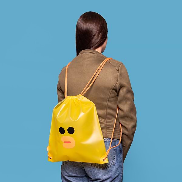 Фото - Сумка для обуви YES SB-16 Line Friends (533529)