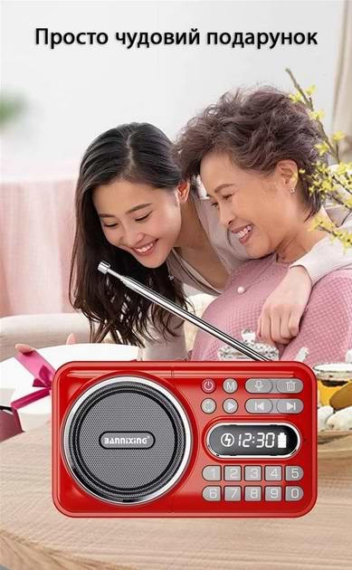 Фото - Радіоприймач Action D-66 Red