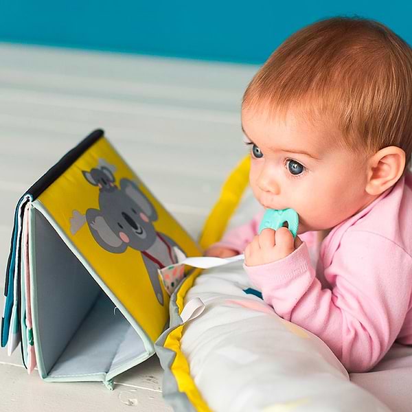 Фото - Книжка-игрушка Taf Toys коллекция "Мечтательные коалы" - ПРИКЛЮЧЕНИЯ КОАЛЫ КИММИ (12395)
