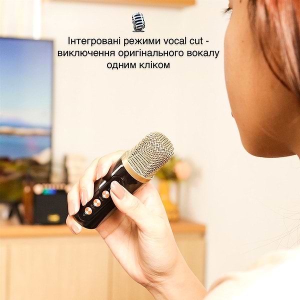 Фото - Портативная акустика Magic Karaoke YS-601 Wood