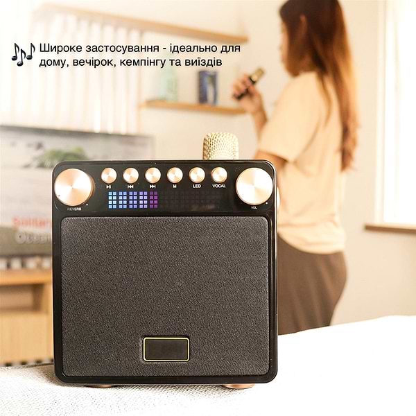 Фото - Портативная акустика Magic Karaoke YS-601 Wood