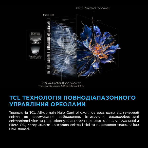 Фото - Телевизор TCL 55C6K