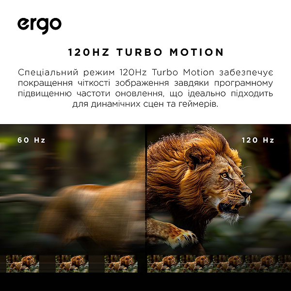 Фото - Телевізор Ergo 55MQ90PRO