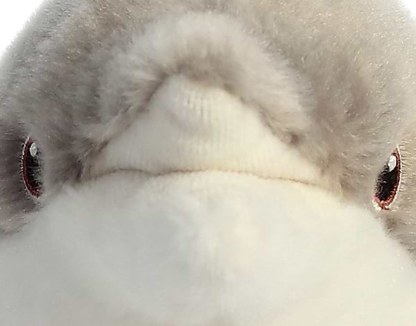 Фото - Мягкая игрушка животное Aurora ECO Дельфин 38 см (200207F)