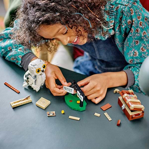 Фото - Конструктор LEGO HARRY POTTER TM Букля на Тисовой улице, 4 (76425)