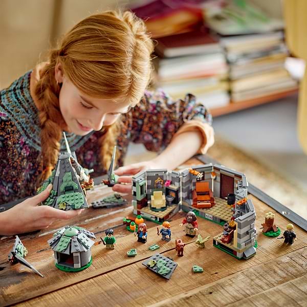 Фото - Конструктор LEGO HARRY POTTER TM Хатинка Геґріда: Несподівані гості (76428)