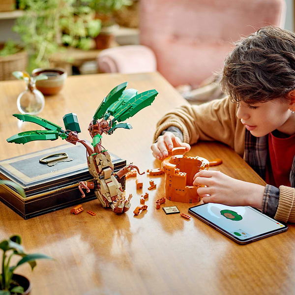 Фото - Конструктор LEGO Harry Potter™ Корень мандрагоры (76433)