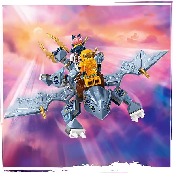 Фото - Конструктор LEGO NINJAGO Молодой дракон Рию (71810)