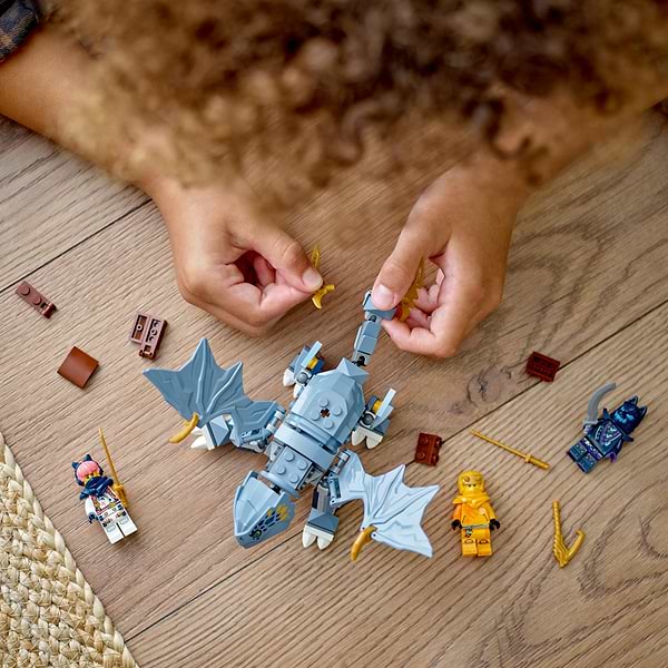 Фото - Конструктор LEGO NINJAGO Молодой дракон Рию (71810)
