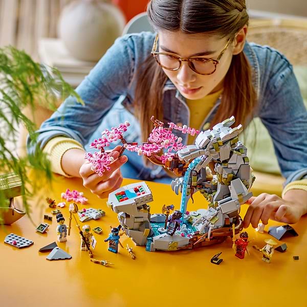 Фото - Конструктор LEGO NINJAGO Храм камня дракона (71819)