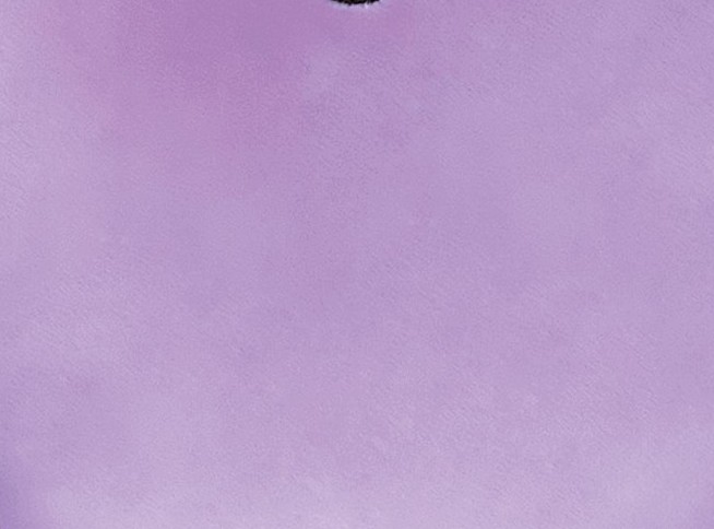 Фото - Мягкая игрушка подушка TY SQUISH-A-BOOS Фиолетовый пес "BITSY" 20 см (39225)