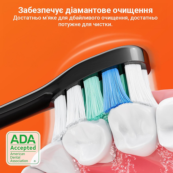 Фото - Зубна щітка електрична Bitvae S2 Smart 8 насадок и футляр Black + косметичка (BVS2-b-k)