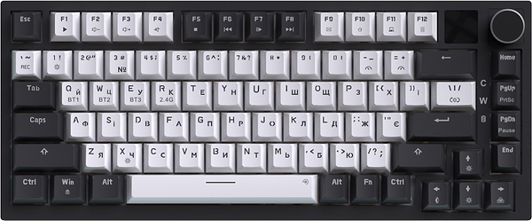 Фото - Клавіатура бездротова ігрова GamePro Asgard Valhalla Pro 75% Wireless/Bluetooth/USB White (MK160W-D-Pro)