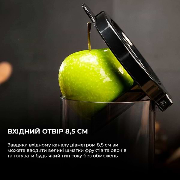 Фото - Соковыжималка шнековая Cecotec Juice&Live 2500 EasyClean (CCTC-04276)