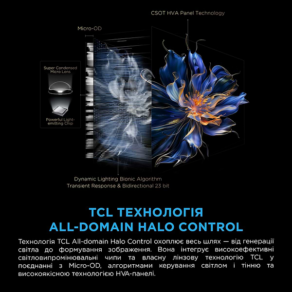 Фото - Телевізор TCL 65C8K