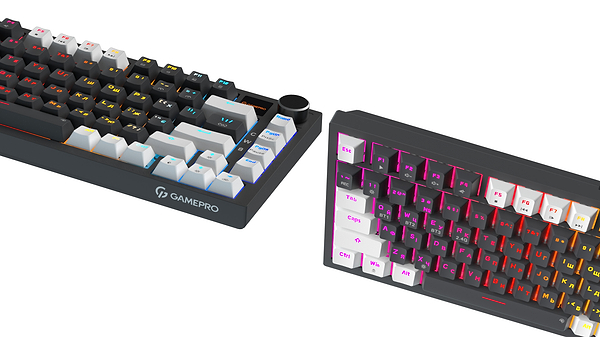 Фото - Клавіатура бездротова ігрова GamePro Asgard Valhalla Pro 75% Wireless/Bluetooth/USB Black (MK160B-D-Pro)