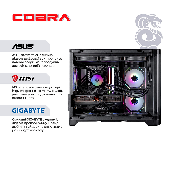 Фото - Системний блок Cobra Gaming (A96X.64.S1.97XT.21517)