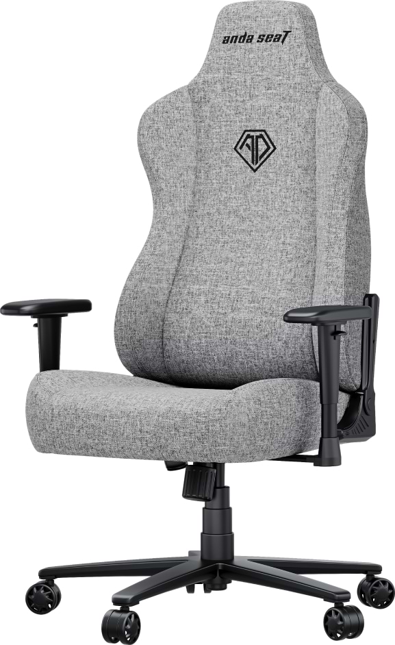 Фото - Кресло для геймеров Anda Seat Novis Size XL Gray Fabric (AD23-XL-01-G-F)