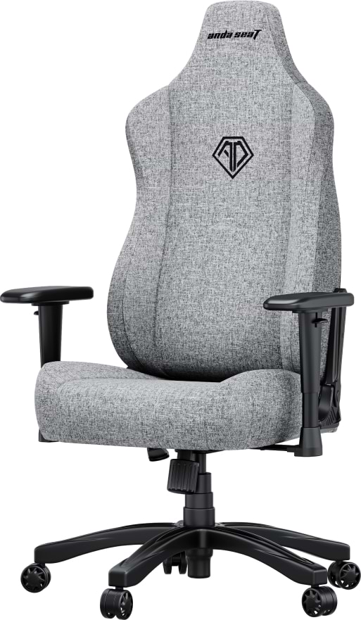 Фото - Крісло для геймерів Anda Seat Novis Size L Gray Fabric (AD23-L-01-G-F)