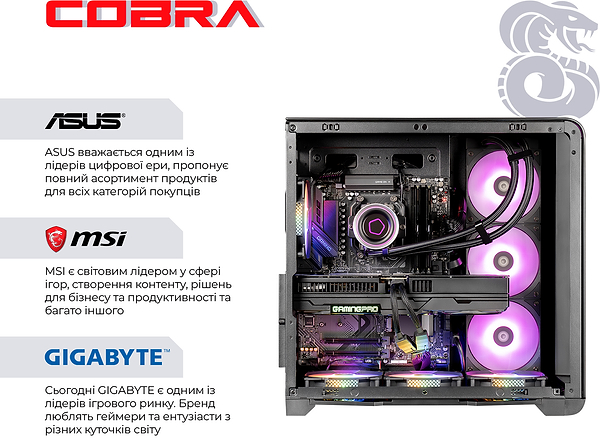 Фото - Системний блок Cobra Gaming (A99X.32.H2S5.58.22047)