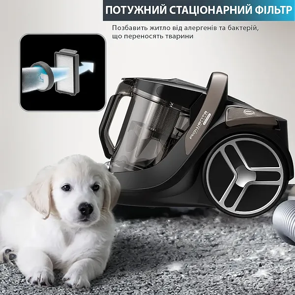 Фото - Пилосос для сухого прибирання без мішка Rowenta RO7260EA