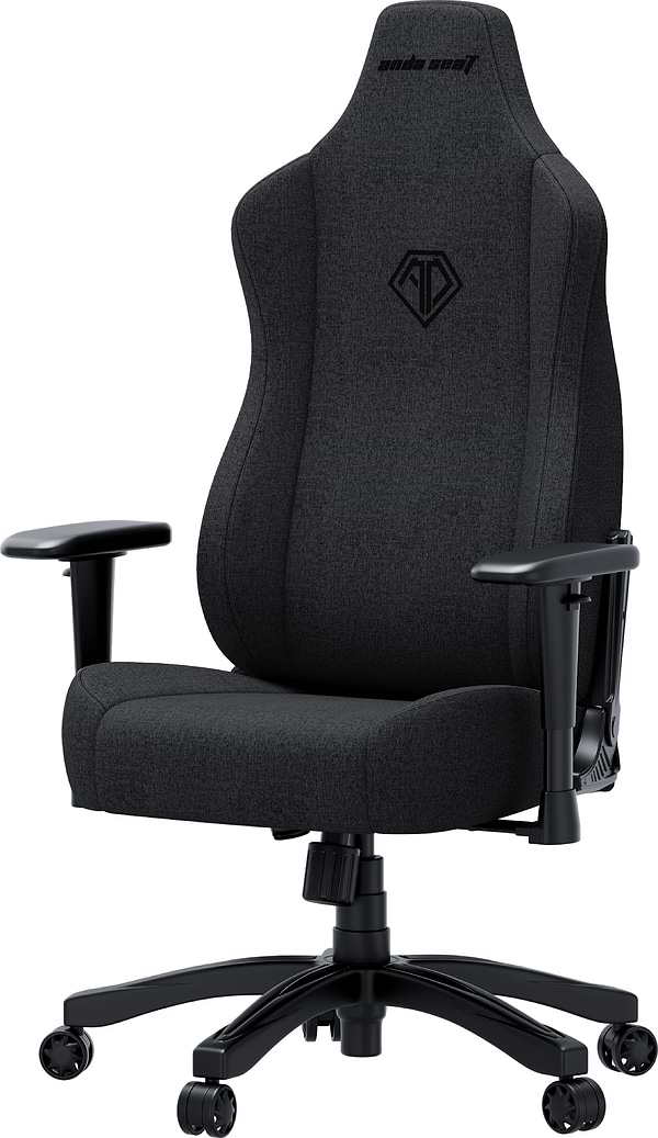 Фото - Кресло для геймеров Anda Seat Novis Size L Dark Gray Fabric (AD23-L-01-GB-F)