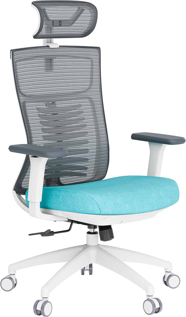 Фото - Крісло офісне OfficePro Balance (OC550-W-DG-BL) White/Dark Gray/Blue