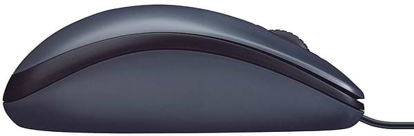 Фото - Мышь компьютерная Logitech B100 (910-003357)