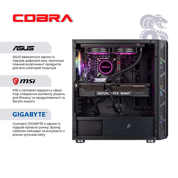 Фото - Системний блок Cobra Gaming (I17KF.32.S5.38.F3091)