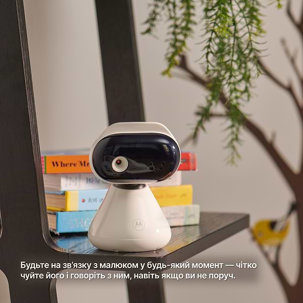 Фото - Видеоняня Motorola PIP1200