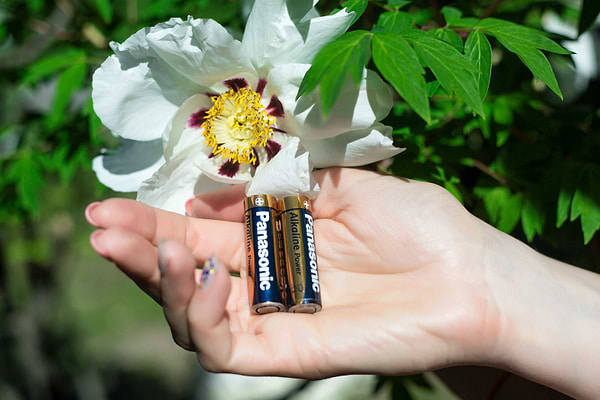 Фото - Батарейка тип AA Panasonic ALKALINE POWER AA BLI 2 (LR6REB/2BP)