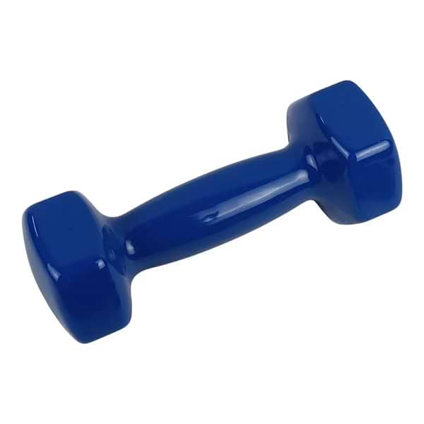 Фото - Гантель для фитнеса X-Treme 2 кг синяя (XTDBH-2B)