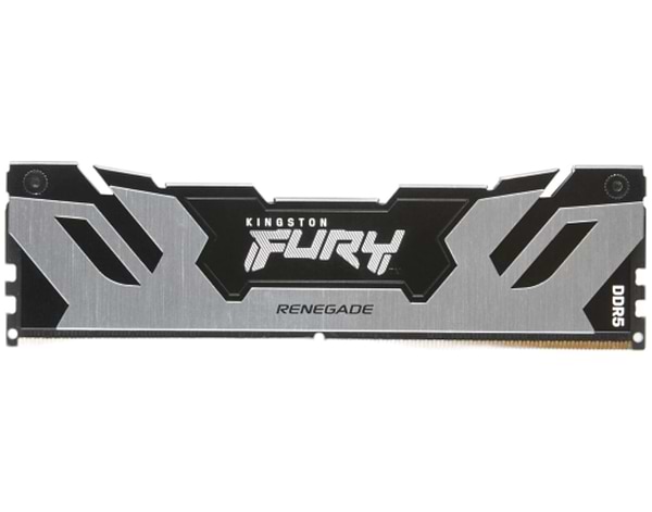 Фото - Память DDR Kingston Fury Renegade Silver DDR5 32GB/6400 (KF564C32RSK2-32)
