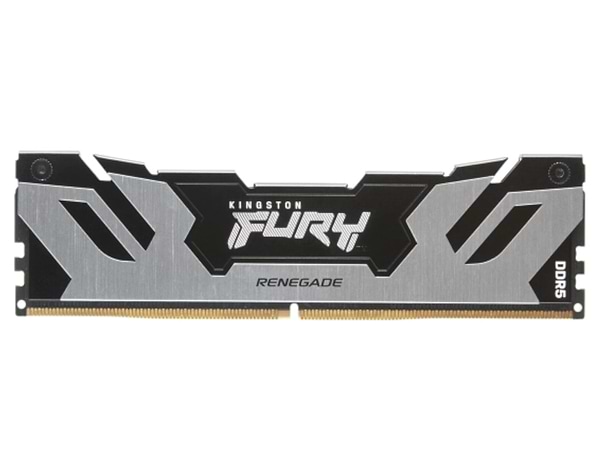 Фото - Память DDR Kingston Fury Renegade Silver DDR5-6400 64GB (2x32GB) CL32-39-39 1.4V XMP (KF564C32RSK2-64)