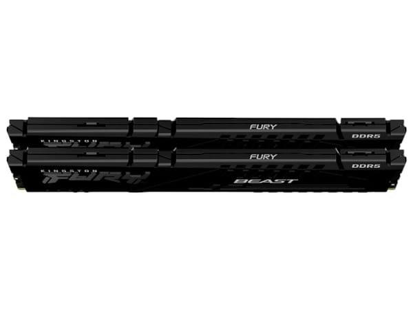 Фото - Память DDR Kingston 64 GB (2x32GB) DDR5 6000 MHz Beast EXPO (KF560C30BBEK2-64)