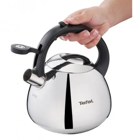 Фото - Чайник металевий Tefal K2481574