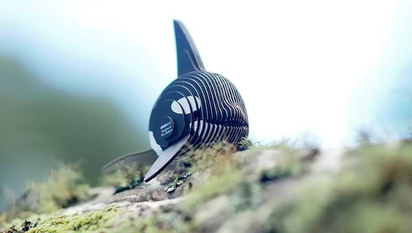 Фото - 3D пазли EUGY Зоопарк: Косатка (XEG-020)