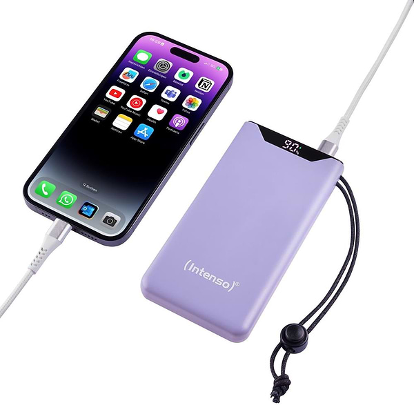 Фото - Батарея мобильная Intenso F10000 Purple (7332033)