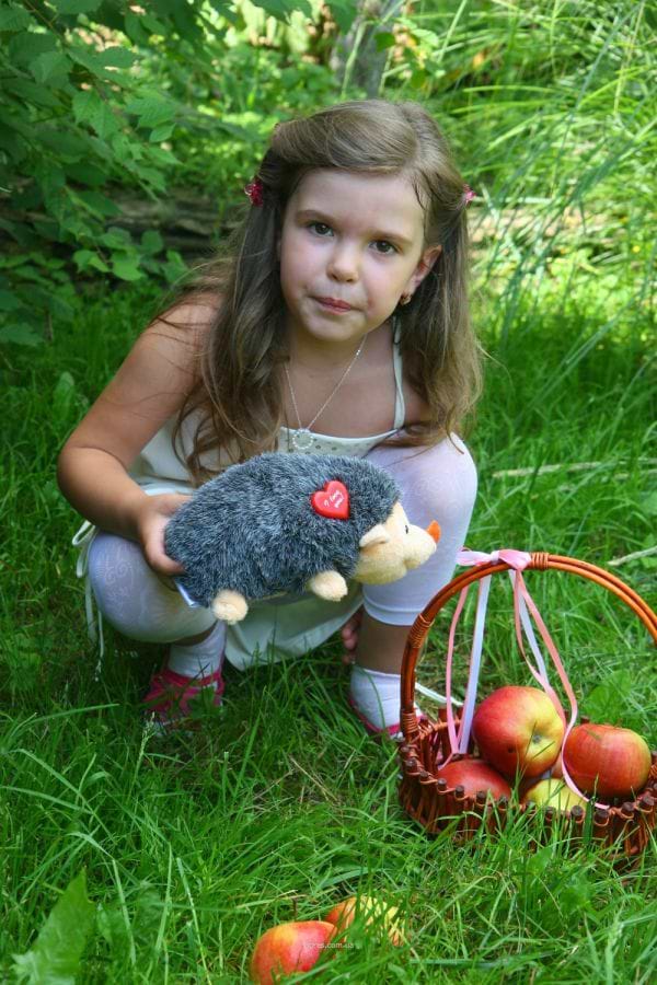 Фото - Мягкая игрушка животное Tigres Ежик-Малючок (д-15, в-24, ш-12) (ЇЖ-0003)